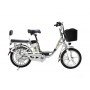 Электровелосипед Green Camel Транк-18 V2 (R18 250W)