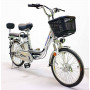 Электровелосипед Green Camel Транк-20 (R20 350W 48V) Алюм