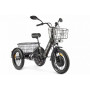 Электротрицикл Green City e-ALFA Trike