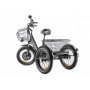 Электротрицикл Green City e-ALFA Trike