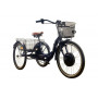 Электровелосипед трехколесный Horza Stels Energy