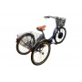Электровелосипед трехколесный Horza Stels Energy