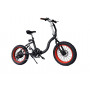Электровелосипед El-sport bike TDN-01 500W