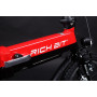 Электровелосипед Rich Bit TOP-618 250W 36V 10.4Ah