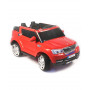 Электромобиль RiverToys BMW Т001ТТ красный
